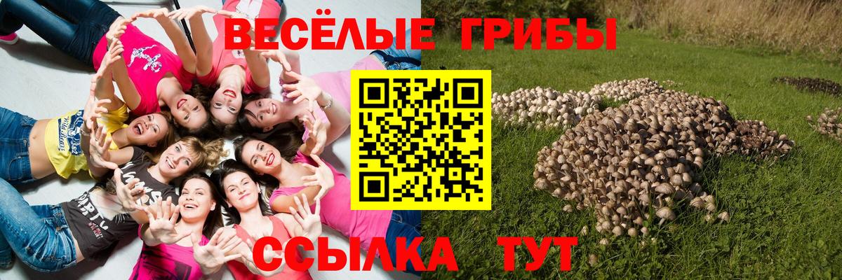 Псилоцибиновые грибы MAGIC MUSHROOMS  Галлюциногенные грибы мухоморы  где купить наркоту  Менделеевск  Вход с VPN 